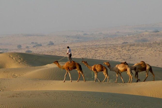 2 Days-1 Night Camel Tour - Key things you’ll notice fast