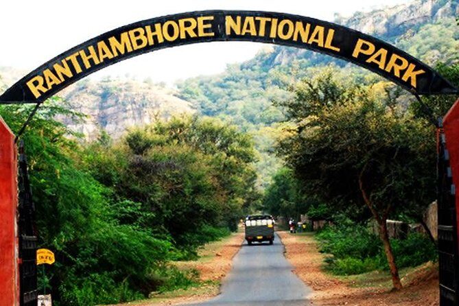 2-Days Private Ranthambhore Tiger Tour from Jaipur - Wildlife beyond tigers: the other sightings you can hope for