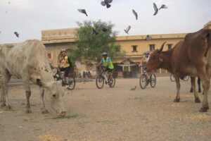 3-Hour Morning Bike Tour of Jaipur - Price and value: what $32 gets you