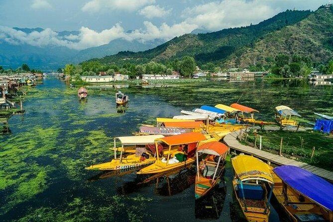 5-Days Kashmir tour includes Accommodation and Private Transportation - Dal Lake Shikara Ride and Mughal Gardens on Day 2