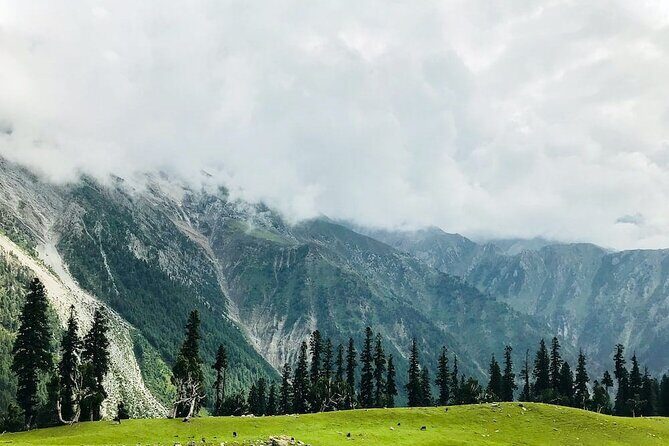 6 Days Private Tour in Kashmir Valley - Day 5 Sonmarg: Thajiwas Glacier trek options and Zoji La snow views