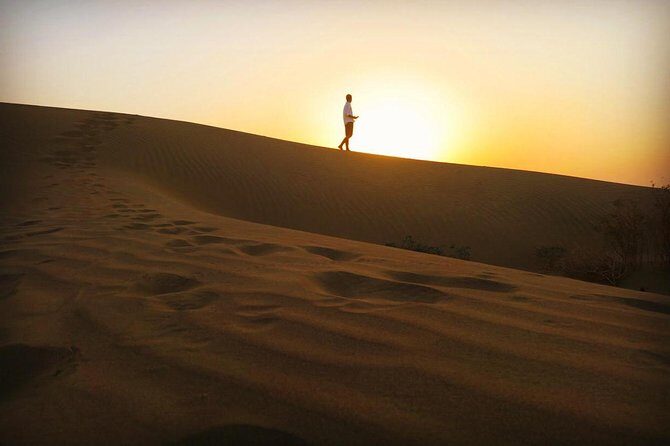Adventure Night With Cultural Show - Price and value: what $49.50 buys you in the Thar Desert