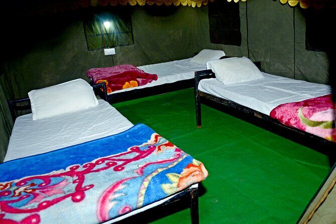 Camping in Rishikesh - 1N 2D - Waterfall trek and village trekking: the outdoors time you actually came for