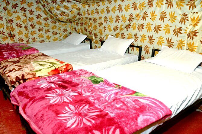 Camping in Rishikesh - 1N 2D - Camp White World Expeditions: the comfort trade you’re actually paying for