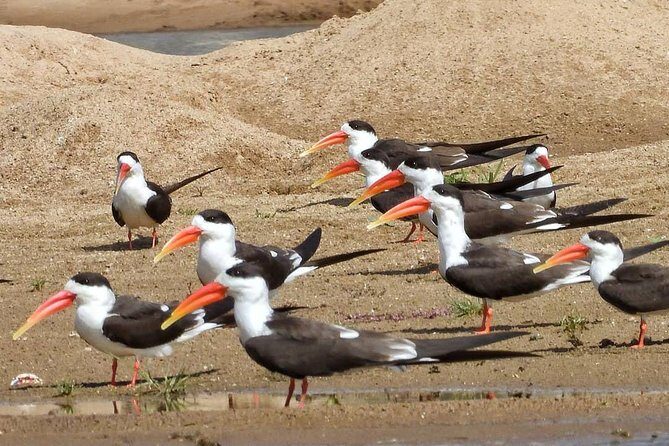Chambal River Safari - The Agra-to-Chambal Drive: Plan for Time, Not Just Distance