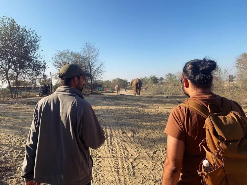 From Agra: Visit to Wildlife SOS Elephant Conservation Trip - FAQ