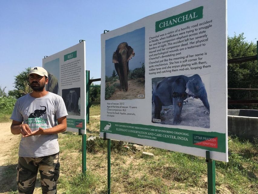 From Agra: Visit to Wildlife SOS Elephant Conservation Trip - The 2-hour guided center tour: what you’ll learn and see