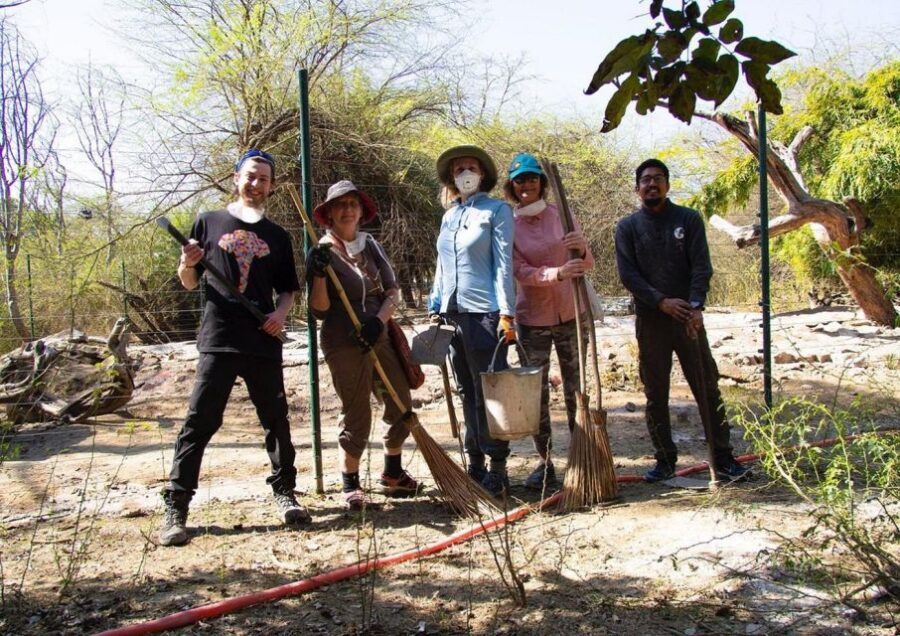 From Agra: Visit to Wildlife SOS Elephant Conservation Trip - Practical tips: shoes, bags, and how to be comfortable