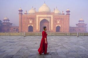 From Delhi: Luxury Group tour of Agra by Car- TOP RATED TOUR - Agra Fort: Mughal power, not just another fortress