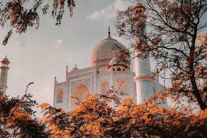 From Delhi : Private Day Trip to Taj Mahal & Agra Fort by Car - All Inclusive - When this tour is the best fit