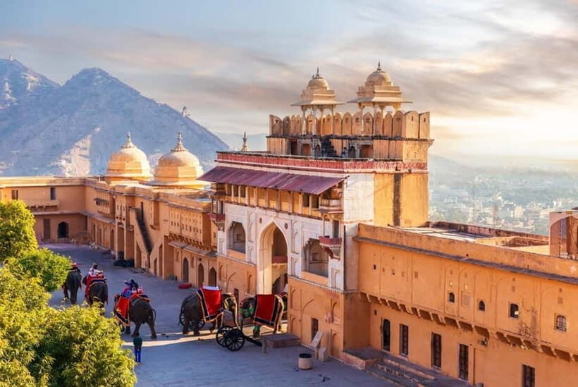From Delhi: Private Full-Day Jaipur Highlights Tour - Amber Fort’s frescos and halls: skip-the-line time that pays off