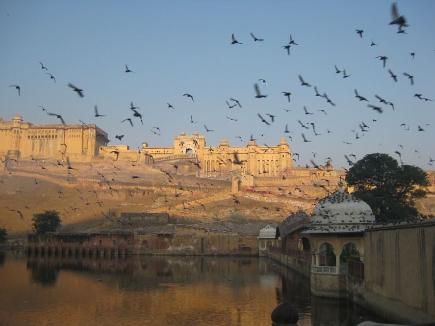 From Delhi: Private Jaipur & Amber Fort Guided Tour by Car - Hawa Mahal: 900+ windows, and why the building works in summer