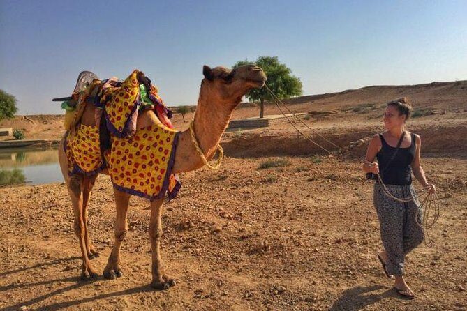 From Jodhpur : Overnight Stay In Desert With Camel Safari - Jeep safari upgrade: when more driving beats more waiting