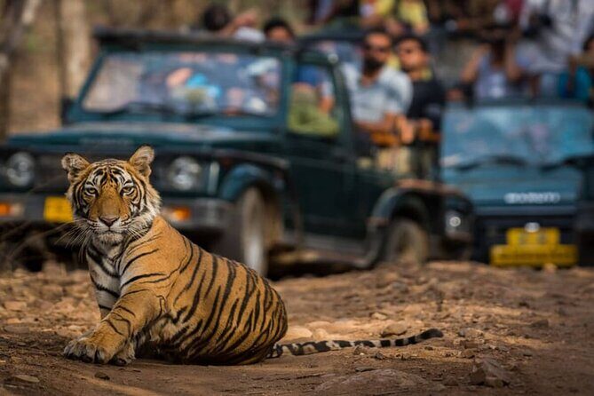 Golden Triangle & Ranthambore: 4-Day Private Tour from Delhi - Key Things I’d Book This For
