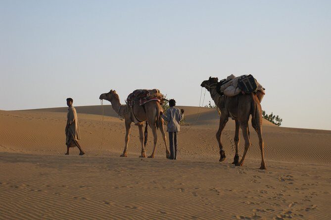 Half-Day Sunset Desert Safari - Camel Ride to Isolated Dunes (Plus a Village Pause)