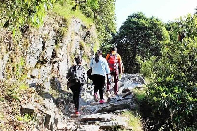 Hiking Day Tour to Triund from Dharamshala - Key Points at a Glance
