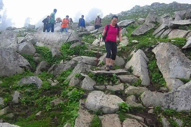 Hiking Day Tour to Triund from Dharamshala - Starting Point at Main Square (or Gallu Devi): Getting Into the Right Rhythm