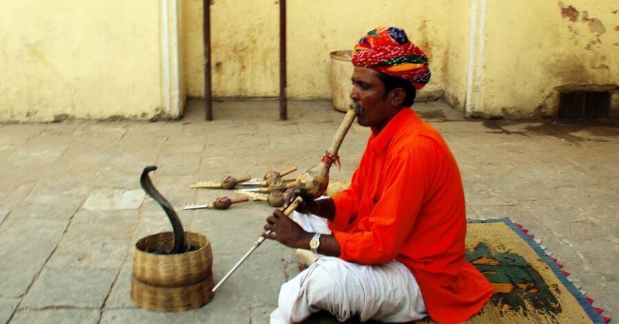 Jaipur: Full-Day Private City Tour by Car with Guide - Key things I’d clock before you go