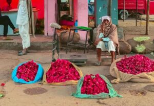 Jaipur: Half-Day Guided Sightseeing Tour with Flower Market - Private tuk-tuk or air-conditioned car: how you cover Jaipur in 5 hours