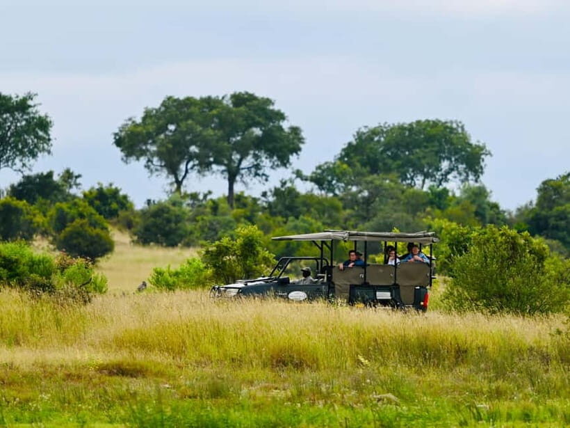 Jaipur: Jhalana Amagarh Leopard Reserve 4×4 Jeep Safari - Jhalana/Amagarh Leopard Reserve: Why This Safari Feels Different in Jaipur