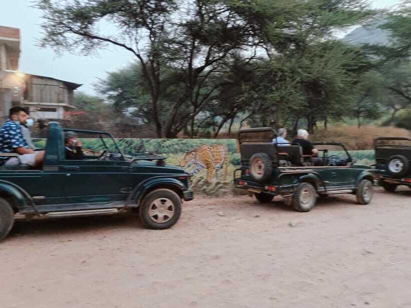 Jaipur: Jhalana Amagarh Leopard Reserve 4×4 Jeep Safari - The In-Reserve Experience: How the Search Actually Feels