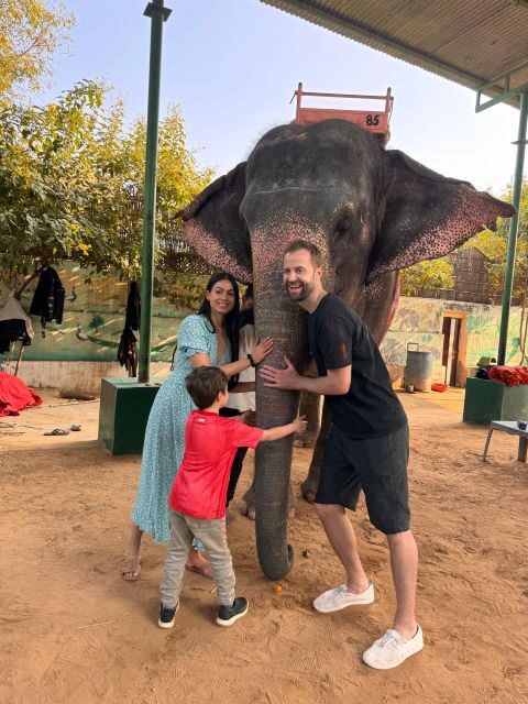 Jaipur: Private Full-Day Sightseeing Tour by Tuk-Tuk - City Palace complex: royal residences and named halls you can picture