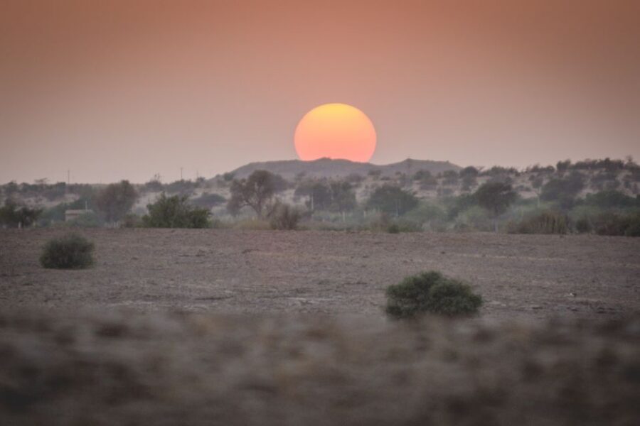 Jaisalmer: 2-Day Thar Desert Experience - Golden Dunes and Sunset: The 90 Minutes You’ll Remember