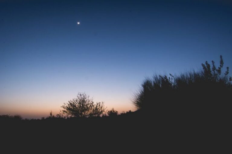Jaisalmer: 2-Day Thar Desert Experience - Getting There: Hotel Pickup and Jeep Time in Rajasthan