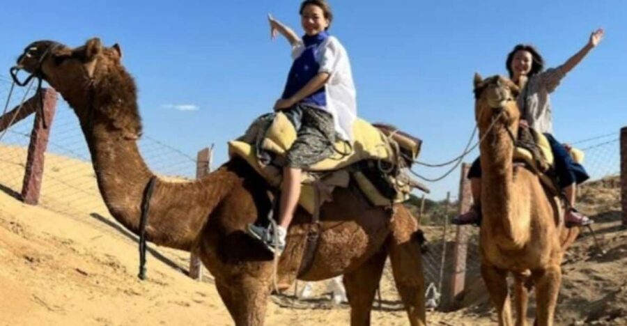 Jodhpur: Desert Camel and Jeep Safari with Traditional Food - Price and Value: Why This One Is Not Just “Cheap”