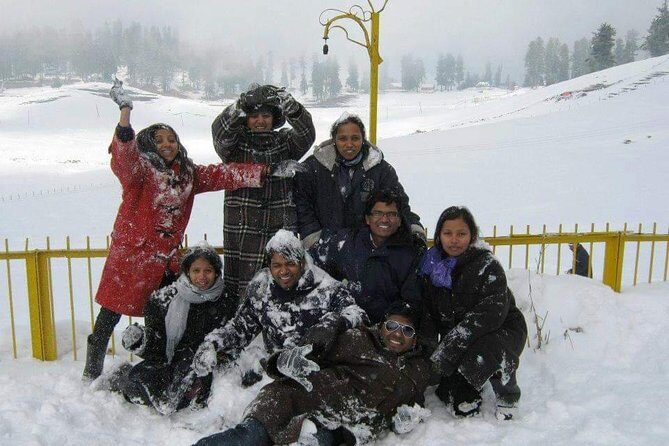 Kashmir Family Tour - 07 Days Includes Accommodation and Private Transport - Srinagar Arrival to Dal Lake Houseboat: The Start That Sets the Tone