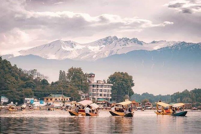 Kashmir Family Tour - 07 Days Includes Accommodation and Private Transport - Daily Logistics: Private Driver, Customization, and How to Keep It Relaxed