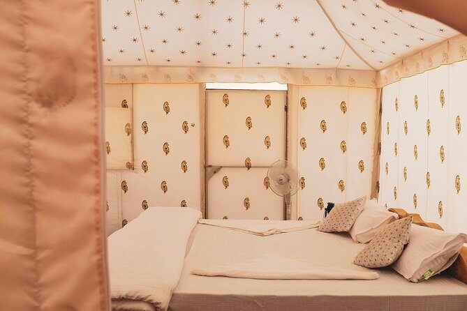 Luxury Overnight Camping Jaisalmer - Price and value: what $49.10 buys you