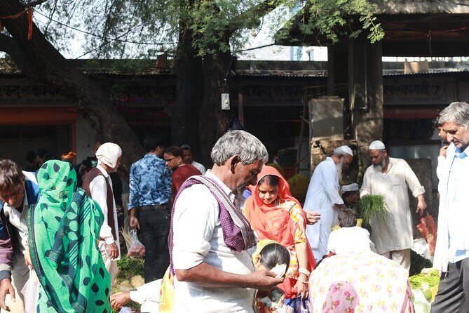 Magical Walk of Jaipur - Why a guide matters around Hawa Mahal and City Palace