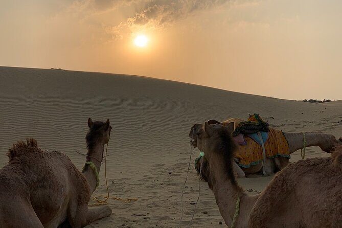 Midnight Mirage Experience (Non Touristic) - Why Midnight Mirage Feels Truly Unplugged near Jaisalmer