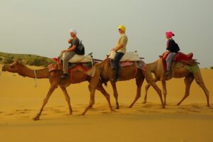 Midnight Mirage Experience (Non Touristic) - Camel Ride Through the Dunes: What It Feels Like and How to Prepare