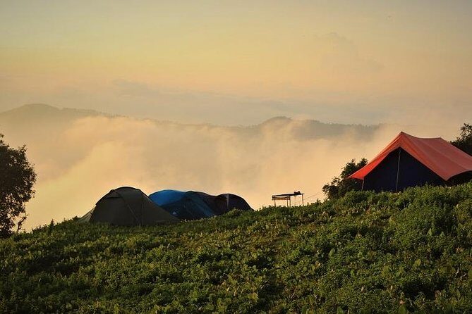 Nag Tibba 2 Days Trek (Pantwari to Pantwari) - Key Things to Know Before You Go