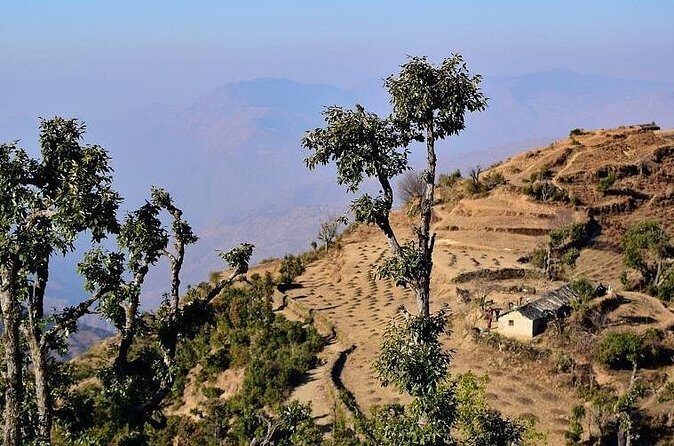 Nag Tibba 2 Days Trek (Pantwari to Pantwari) - Night at Kathian: Tents, Camp Food, and the Mood Shift