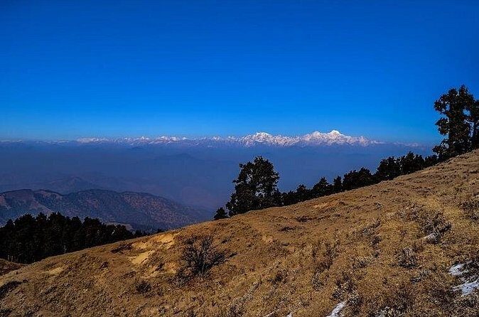 Nag Tibba 2 Days Trek (Pantwari to Pantwari) - Food and Comfort: Simple Doesn’t Mean Bad
