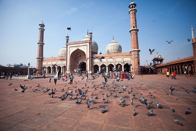 New Delhi Half-day Tours - Meeting point and the 8 AM–2 PM pickup window