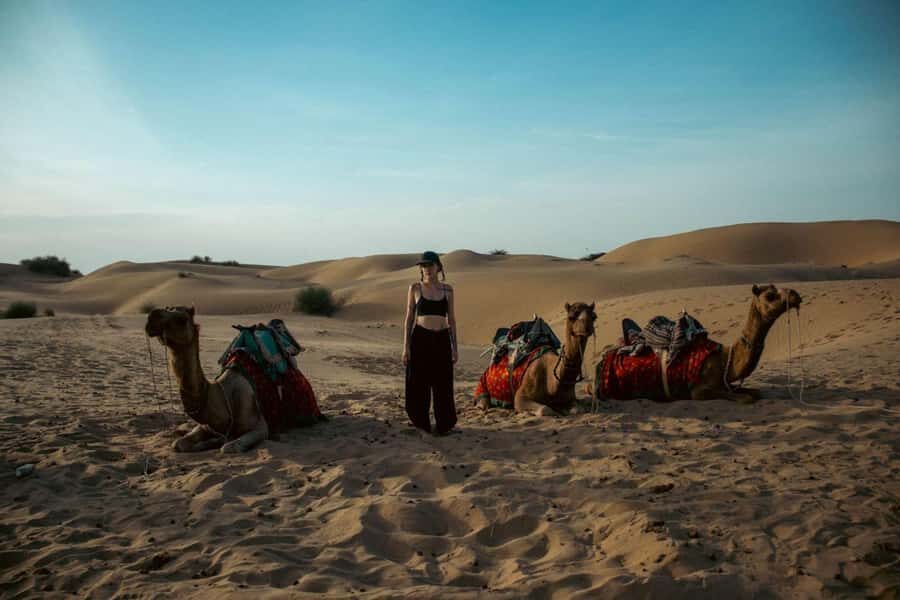Nomadic Non-Touristic Overnight Camel & Desert Safari Tour - Price and value: why $34 can work (and when it won’t)