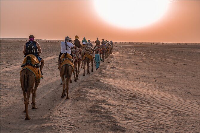 Nomadic Non-Touristic Overnight Camel & Desert Safari Tour - The camel ride into the Thar: the slow way to feel distance