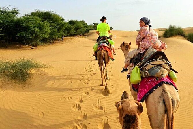 Nomadic Non-Touristic Overnight Tour & camel Safari - First, the vibe: a long day that turns into two perfect moments