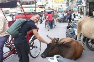 Old Delhi Food Tour Safari - The Capital of Flavors - Street food time: butter chicken, jalebi, and masala chai on the move