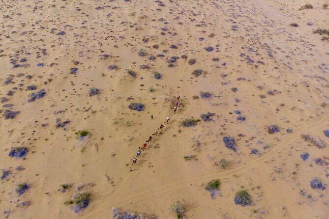 Overnight Camel Safari - Sleeping under the Stars - Entering the Thar Desert: Why This Overnight Plan Feels Worth It