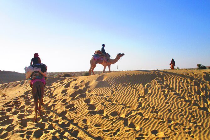 Overnight Camel Safari - Sleeping under the Stars - Snacks, Chai, and the Sunset Moment