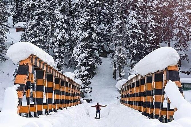 Private 5-Day Charming Kashmir Package Tour from Srinagar - Why a private 5-day Kashmir loop from Srinagar feels calmer