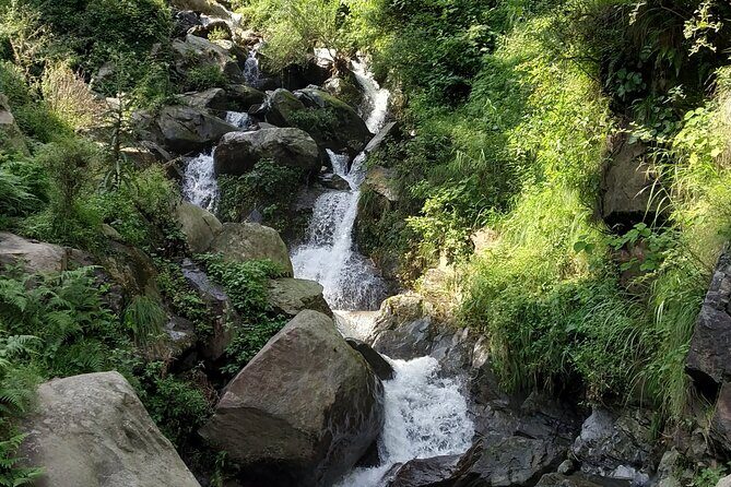 Private 6 hrs Mcleodganj & Dharamshala City Tour - Naddi View Point: a quick altitude reset