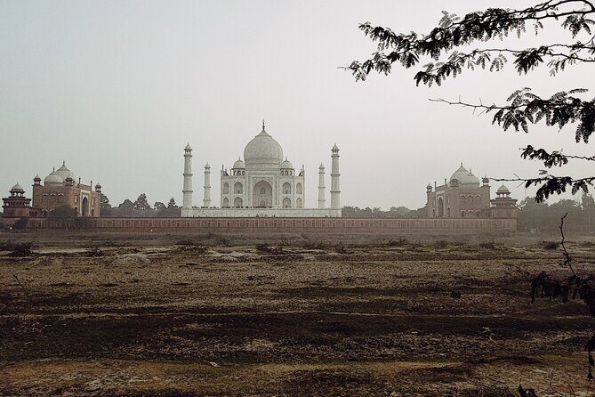 Private Full-Day Taj Mahal and Agra Fort Tour from New Delhi - Lunch at Courtyard Agra: The Real Question Is How You Use the Break