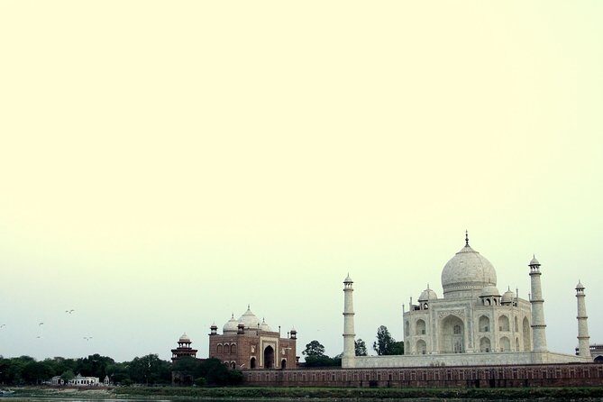 Private Guided Tour of Agra - Agra Fort: the step-back-in-time feeling (with time to actually see it)