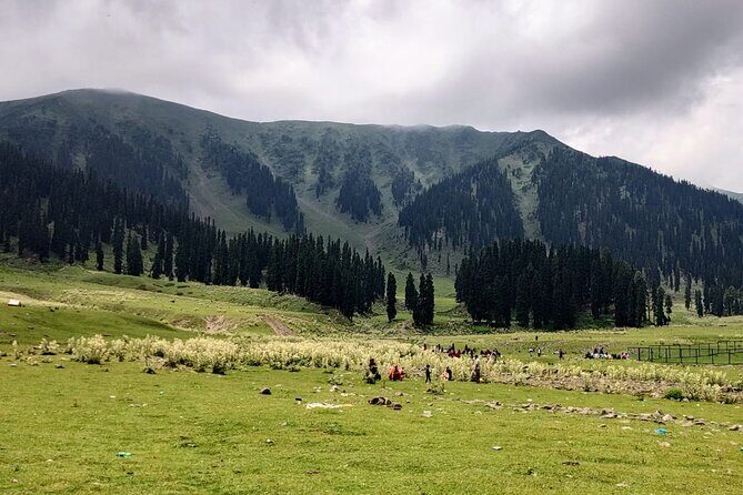 Private Kashmir Family 7-Day Tour - Entering Kashmir via a Private Srinagar Arrival and Dal Lake Shikara